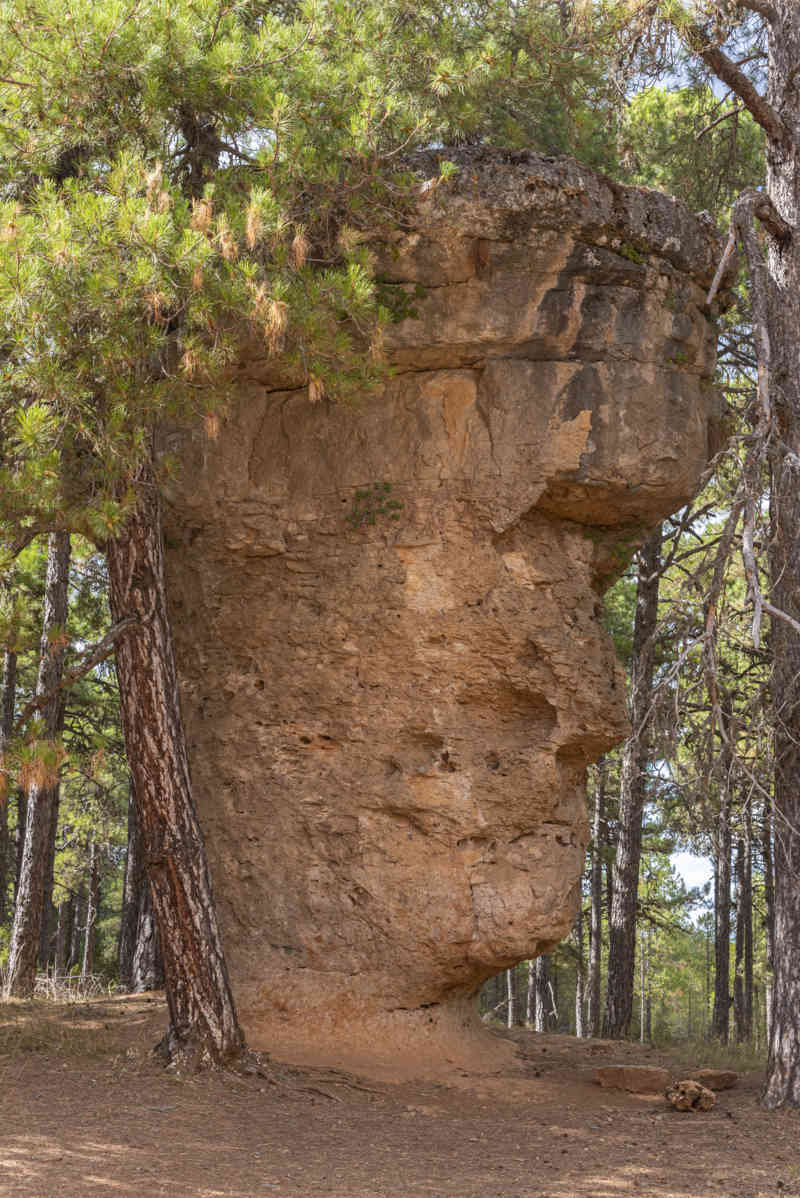 Cuenca - Valdecabras - Ciudad Encantada 20 - la Cara del Hombre.jpg